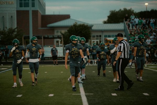 How Can Pet Ownership Impact Your Daily Routine in the UK?